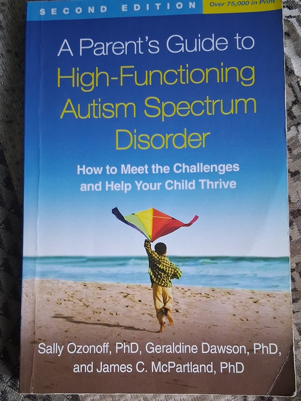 A Parents Guide To Hugh Functioning Autism Spectrum Disorder